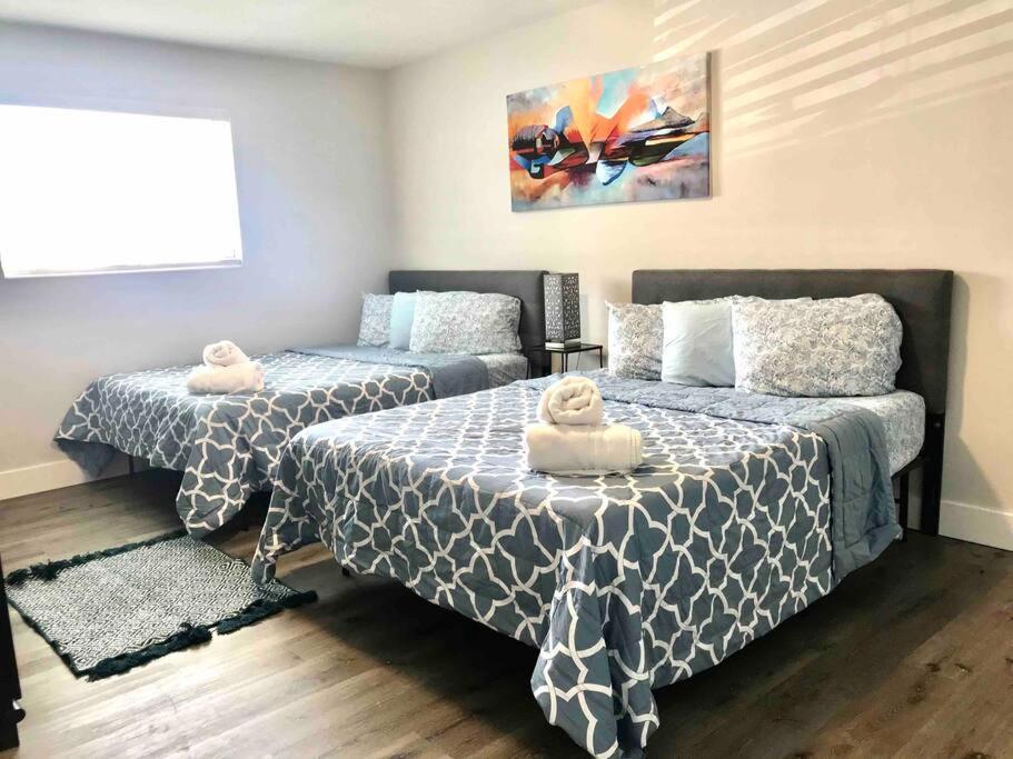 Solymar II Miami Beach House מראה חיצוני תמונה